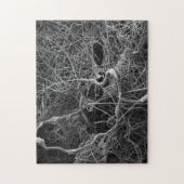 Spinnenei-Sackpuzzlespiel Puzzle (Vertikal)