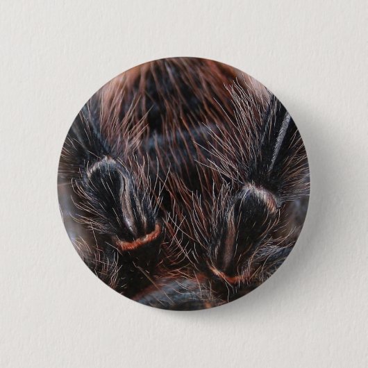 Spinnenhaar Button (Vorderseite)