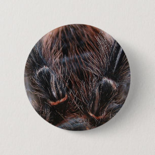 Spinnenhaar Button