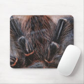 Spinnenhaar Mousepad (Mit Mouse)