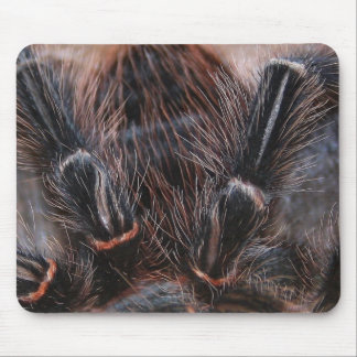 Spinnenhaar Mousepad