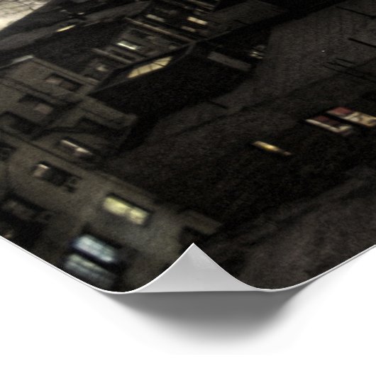 Spinnenkatze Poster (Ecke)