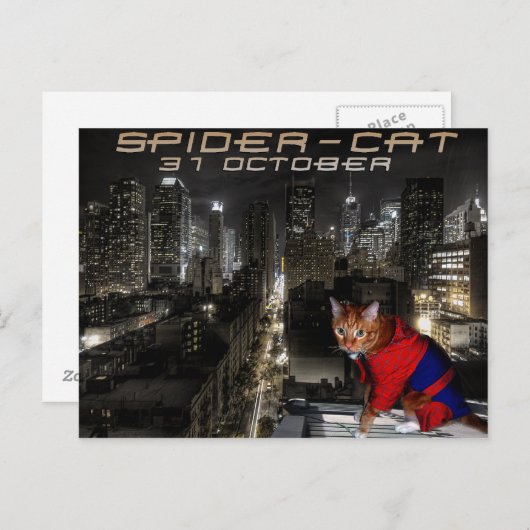 Spinnenkatze Postkarte (Vorne/Hinten)
