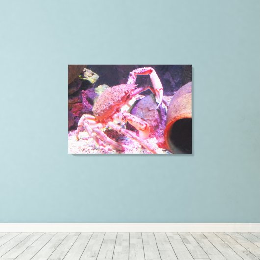 Spinnenkrebse Leinwanddruck (Insitu (Holzboden))