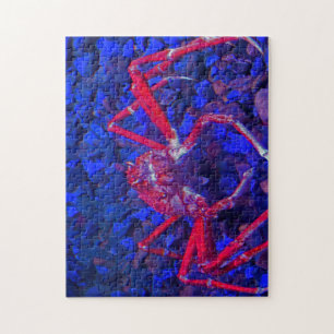 Spinnenkrebse. Puzzle