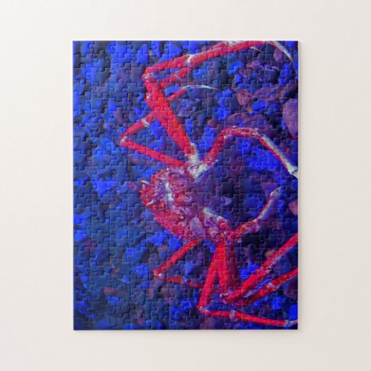 Spinnenkrebse. Puzzle (Vertikal)