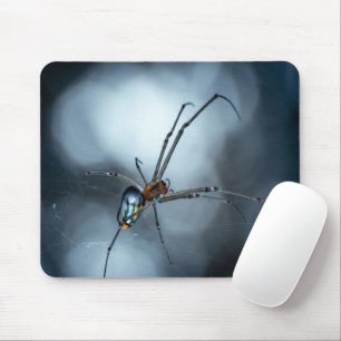Spinnenliebhaber   Schönheit Spinne Mit Netzen Mousepad