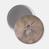 Spinnenmagnete Magnet (Vorderseite/Rückseite)