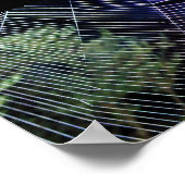 Spinnennetz bei Nacht Poster (Ecke)