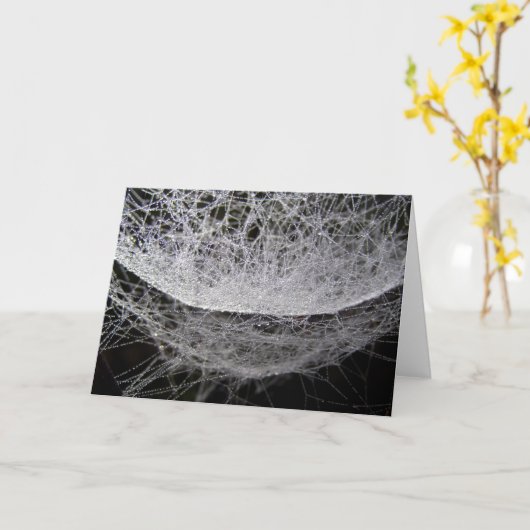 Spinnennetze mit Taube, Wassertropfhahn Karte (Gelbe Blume)