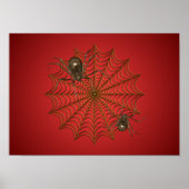 Spinnenposter Poster (Vorne)