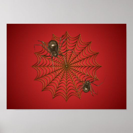 Spinnenposter Poster (Vorne)