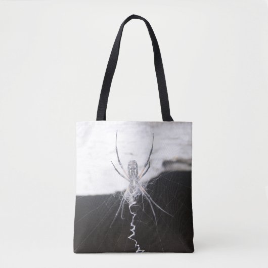 Spinnentasche Tasche (Vorderseite)