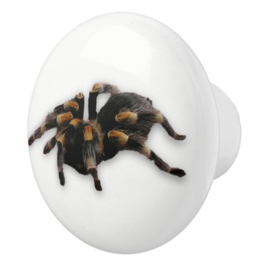 Spinnenzug Keramikknauf (Rechts)