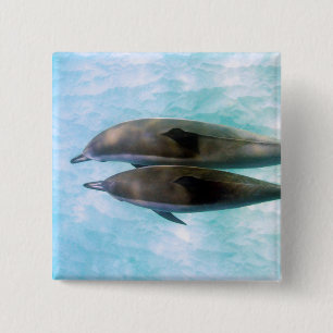 Spinner-Delphine Oahu Hawaii Button