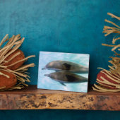 Spinner-Delphine | Oahu Hawaii Fotoplatte (Seite)