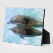 Spinner-Delphine | Oahu Hawaii Fotoplatte (Seite)