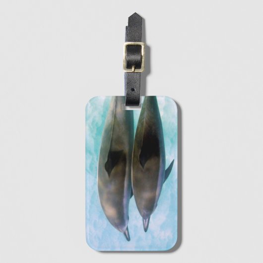 Spinner-Delphine | Oahu Hawaii Gepäckanhänger (Vorderseite Vertikal)