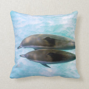 Spinner-Delphine   Oahu Hawaii Kissen