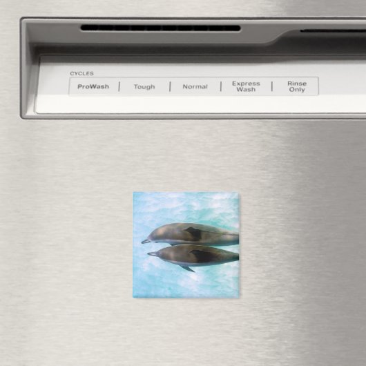 Spinner-Delphine | Oahu Hawaii Magnet (In Situ (Geschirrspüler))