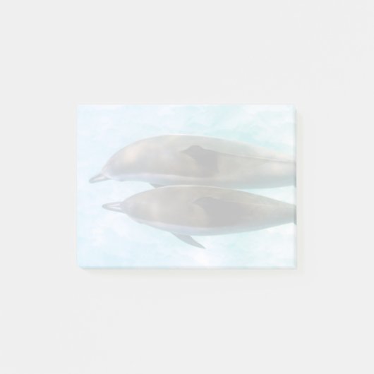 Spinner-Delphine | Oahu Hawaii Post-it Klebezettel (Vorderseite)