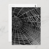 Spinngewebe mit Wasserperlen Postkarte (Vorne/Hinten)