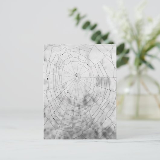 Spinngewebe Postkarte (Stehend Vorderseite)