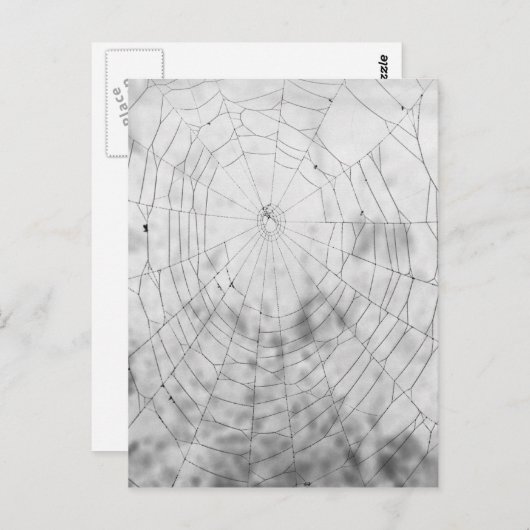 Spinngewebe Postkarte (Vorne/Hinten)