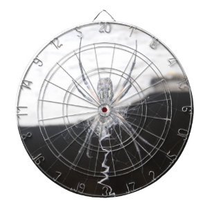 Spinnwand Dartscheibe