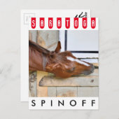 Spinoff Postkarte (Vorne/Hinten)