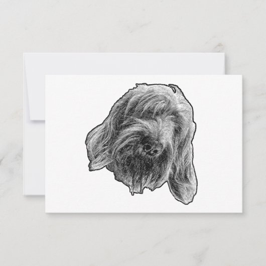 Spinone Art Dankeschön Dankeskarte (Vorderseite)
