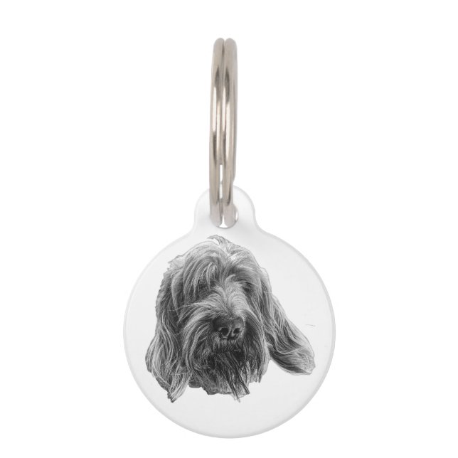 Spinone-Feldspaziergänger Haustiermarke (Vorderseite)
