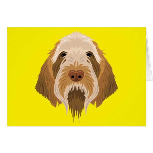 Spinone Italiano (Vorderseite (Horizontal))