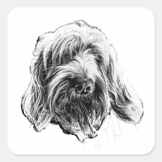 Spinone Italiano Art Sticker (Vorderseite)