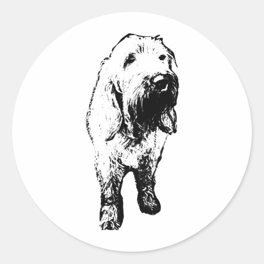 Spinone Italiano Aufkleber – Mutiger stehender Hun (Vorderseite)