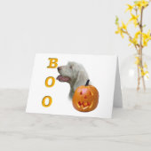Spinone Italiano Boo Karte (Gelbe Blume)