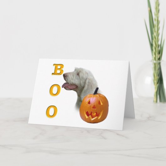 Spinone Italiano Boo Karte (Vorderseite)