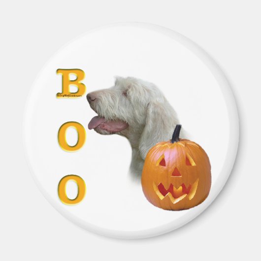 Spinone Italiano Boo Magnet (Vorne)