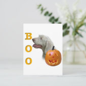 Spinone Italiano Boo Postkarte (Stehend Vorderseite)