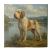 Spinone Italiano Fliese (Vorderseite)