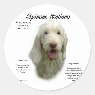 Spinone Italiano Geschichtsdesign Runder Aufkleber