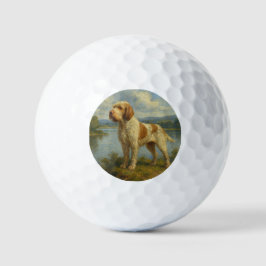 Spinone Italiano Golfball
