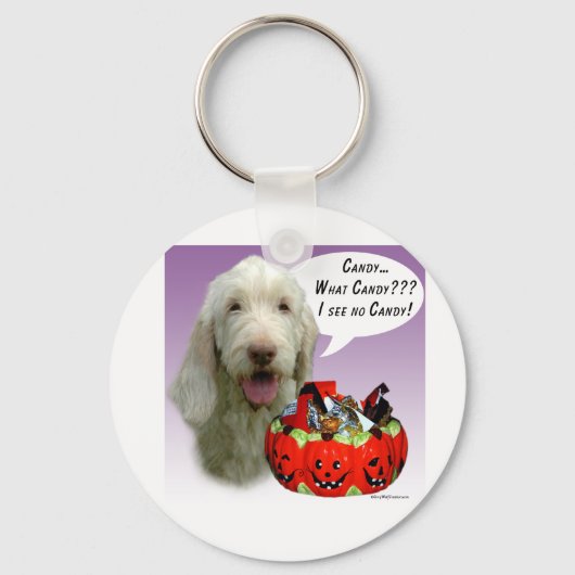 Spinone Italiano Halloween Candy Schlüsselanhänger (Vorderseite)