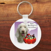 Spinone Italiano Halloween Candy Schlüsselanhänger (Vorderseite)