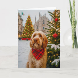 Spinone Italiano Holiday Card Feiertagskarte
