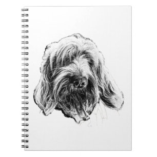 Spinone Italiano-Hunde-Notizbuch Notizblock