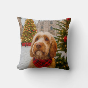 Spinone Italiano  Kissen