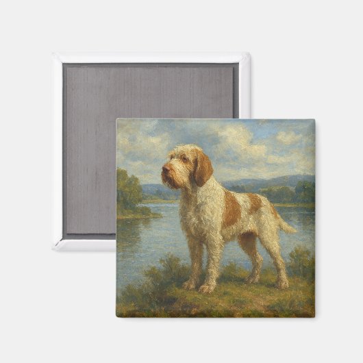Spinone Italiano Magnet (Vorderseite/Rückseite)