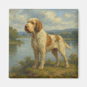 Spinone Italiano Magnet (Vorne)