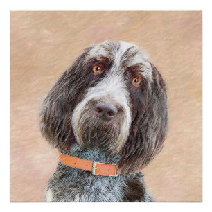 Spinone Italiano Malerei - Niedliche Original Dog  Poster